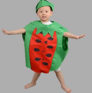 Red and Green Watermelon Fancy Costume