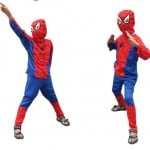 Spiderman Superhero Fancy Dress Costume