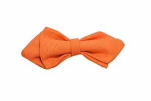 Children's Clip on Bow Ties
