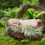 Baskets and Buckets for Newborn Baby Photography