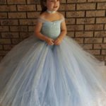 Princess Girls Elsa Cinderella Inspired Birthday Tutu Dress Costume 
