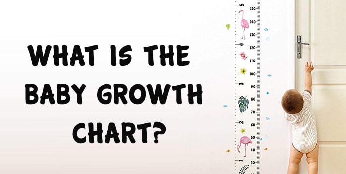 Standard Height N Weight Chart