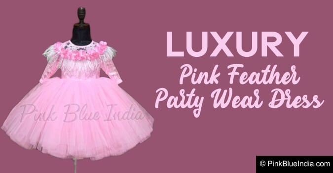 Luxury Pink Feather Party Wear Dress