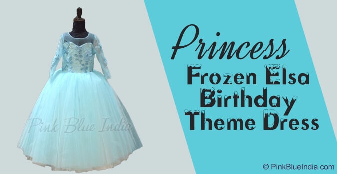 Princess Frozen Elsa Birthday Theme Dress