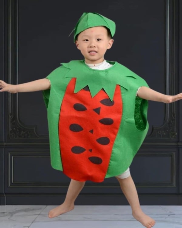 Watermelon fancy dress for girls, cute birthday party outfit