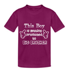big-brother-custom-birthday-tshirts-for-your-two-year