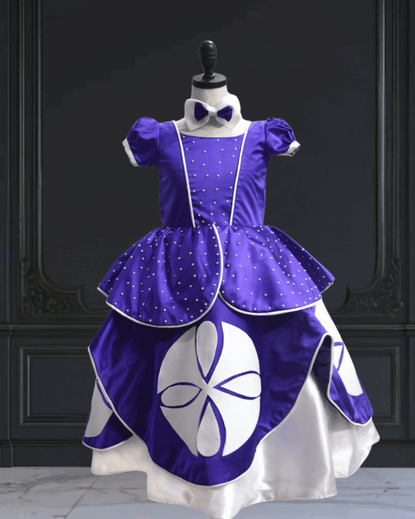 Princess Sofia birthday dress for baby girl, cute themed outfit for first birthday party