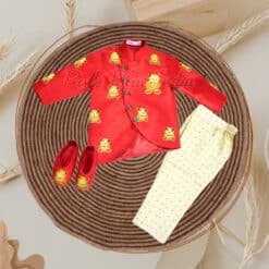 teddy-bear-boy-birthday-theme-outfit