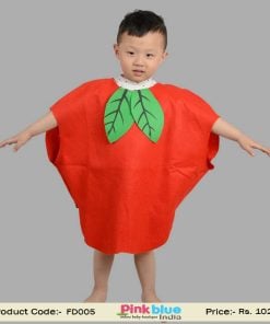 Funny Apple Fruit Fancy Dress for Children in Green and Red