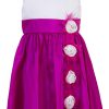 Little Girl Hot Pink Rose Floral Special Occasion Dress