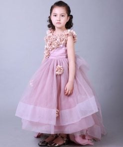 princess ball gown dress