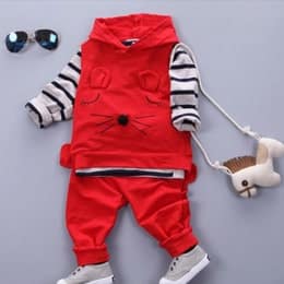 Baby Boy Hoodies & Sets