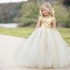 Fairytale Princess Dresses - Baby Girl Birthday Gown - toddlers party Dress