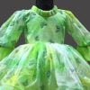 Butterfly Birthday Party Frock