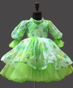 Butterfly Theme Birthday Green Dress