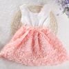 rosette baby dress