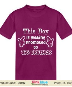 Big Brother print Two Year Old Boy Custom Birthday T-shirt