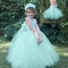 Birthday Party Toddler Girl Tutu Dress Green Mint Baby girl Outfit