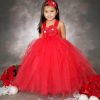 Kids Baby Birthday Outfit and Party Tutu Flower Girl Dress Holiday