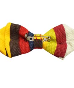 Cute Bow Tie in Colorful Stripes for Indian Baby Boy
