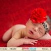 Cute Infant Headband with Red Flower