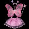Lil Princess Pink Fairy Butterfly birthday Wings Wand Costume