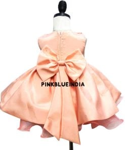 Organza Frock for Baby Girl - Organza Kid Dress Online India