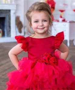 Buy Long Tail Designer Princess Girls Birthday Party Gown