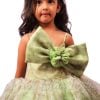 Beautiful Designer Organza Party Wear Ball Gown for Birthday