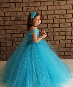 Princess Baby Girl Cinderella Tutu Costume, Disney Cinderella Dress, birthday Tutu