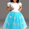 Frozen Princess Elsa Dress – Buy Frozen Elsa Themed Birthday party Dress