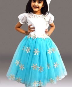 Frozen Princess Elsa Dress – Buy Frozen Elsa Themed Birthday party Dress