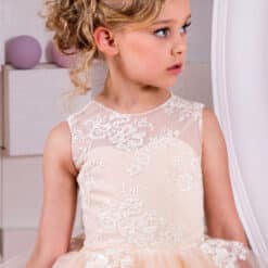 Exclusive Style Baby Girl ball gowns online shopping