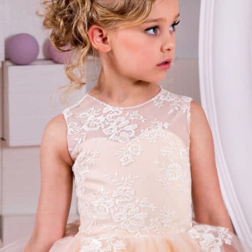 Exclusive Style Baby Girl ball gowns online shopping
