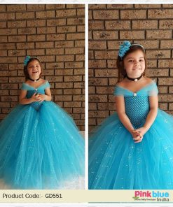 Disney Princess Cinderella Tutu Dress, Baby Girl Tutu Gown, Cinderella Tutu Costume online India