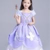 Sofia the First Royal Dress, Sofia the First Birthday Outfit, Little girl princess costume