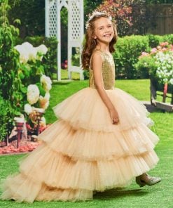 Birthday Party Dress Gown – Buy Girl Birthday Dress India