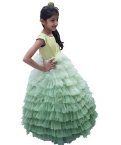 Buy Ombre Party Wear Designer Gowns for Girls Child Online