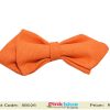 Smart Little Kid Bow Ties in Orange for Boys in India
