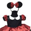 Kids Minnie Mouse Birthday Dress