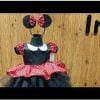 Buy Minnie Mouse Birthday Girl Frock Outfit - Minnie Dress