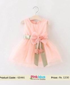 Newborn Peach Flower Girl 1st Birthday Princess Big Bowknot Voile Dress