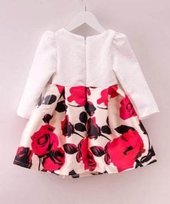 New Season Baby Girl Special Occasion Dress