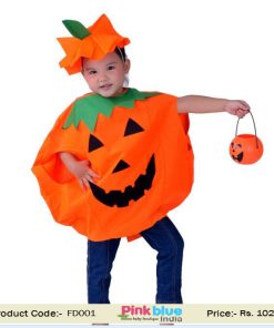 pumpkin kids fancy dress