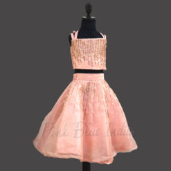 Kids Party Wear Crop Top Lehenga Set 