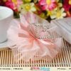 Buy Online Peach Fashion Flower Hair Clip for Infants with Diamond Tiara