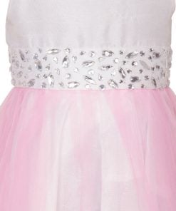 Pink Silk Birthday Dress for Baby Girl