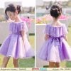 purple baby girls dress