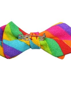 Buy Online Rainbow Bow Tie for Baby Boy in India