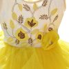 Raw Silk Toddler Frock Online India